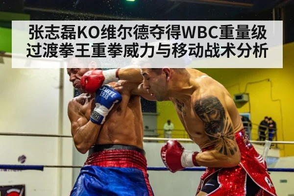 张志磊KO维尔德夺得WBC重量级过渡拳王重拳威力与移动战术分析
